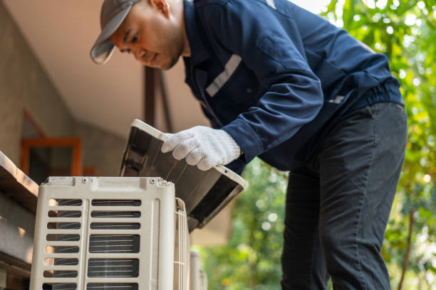 Best Local HVAC Companies  in Level Plains, AL